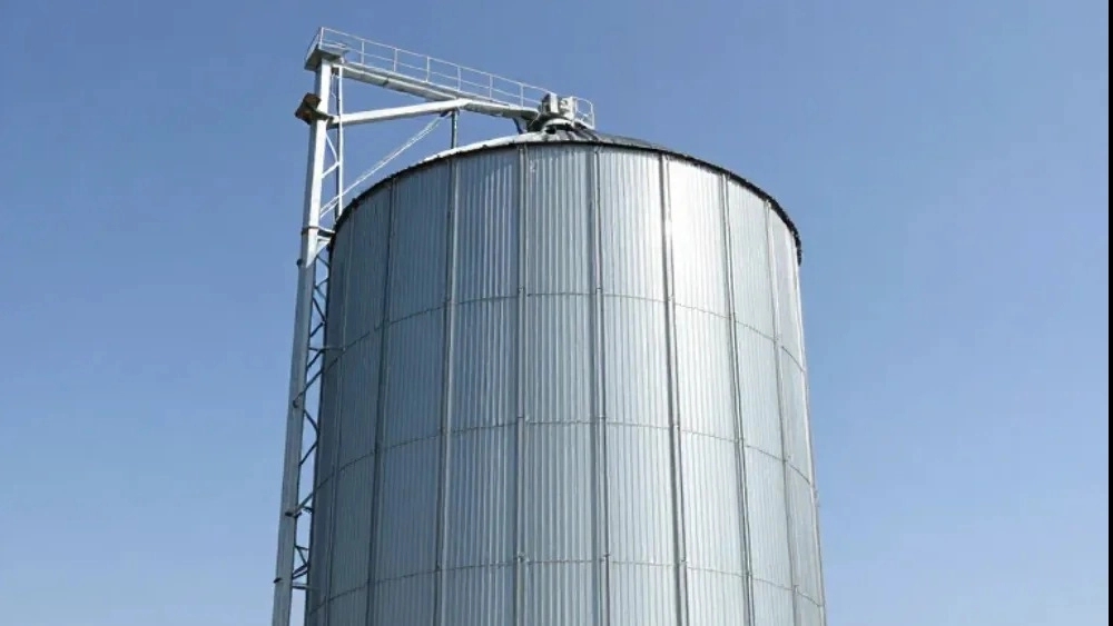 The price of buying a poultry silo in Tabriz is a complete and up-to-date guide for farmers and poultry farmers