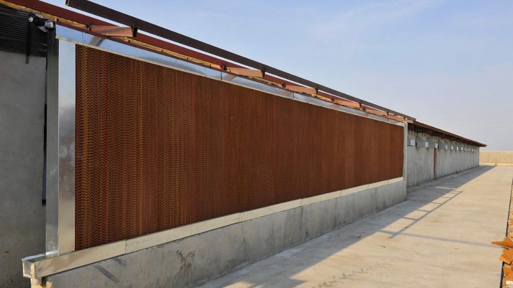 A comprehensive guide to the production of cellulose pads with galvanized frames in Tabriz; Standards and applications