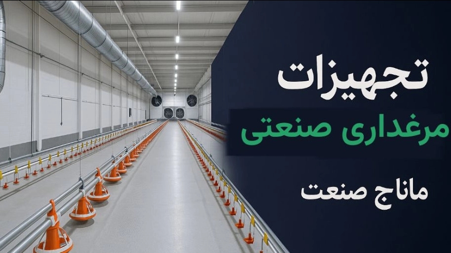 تجهیزات مرغداری صنعتی در کهگیلویه و بویراحمد تجهیزات مرغداری صنعتی در کهگیلویه و بویراحمد